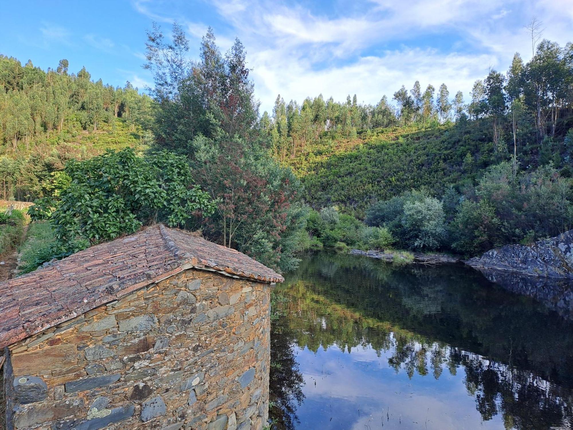 SertãVista Castelo住宿加早餐旅馆 外观 照片